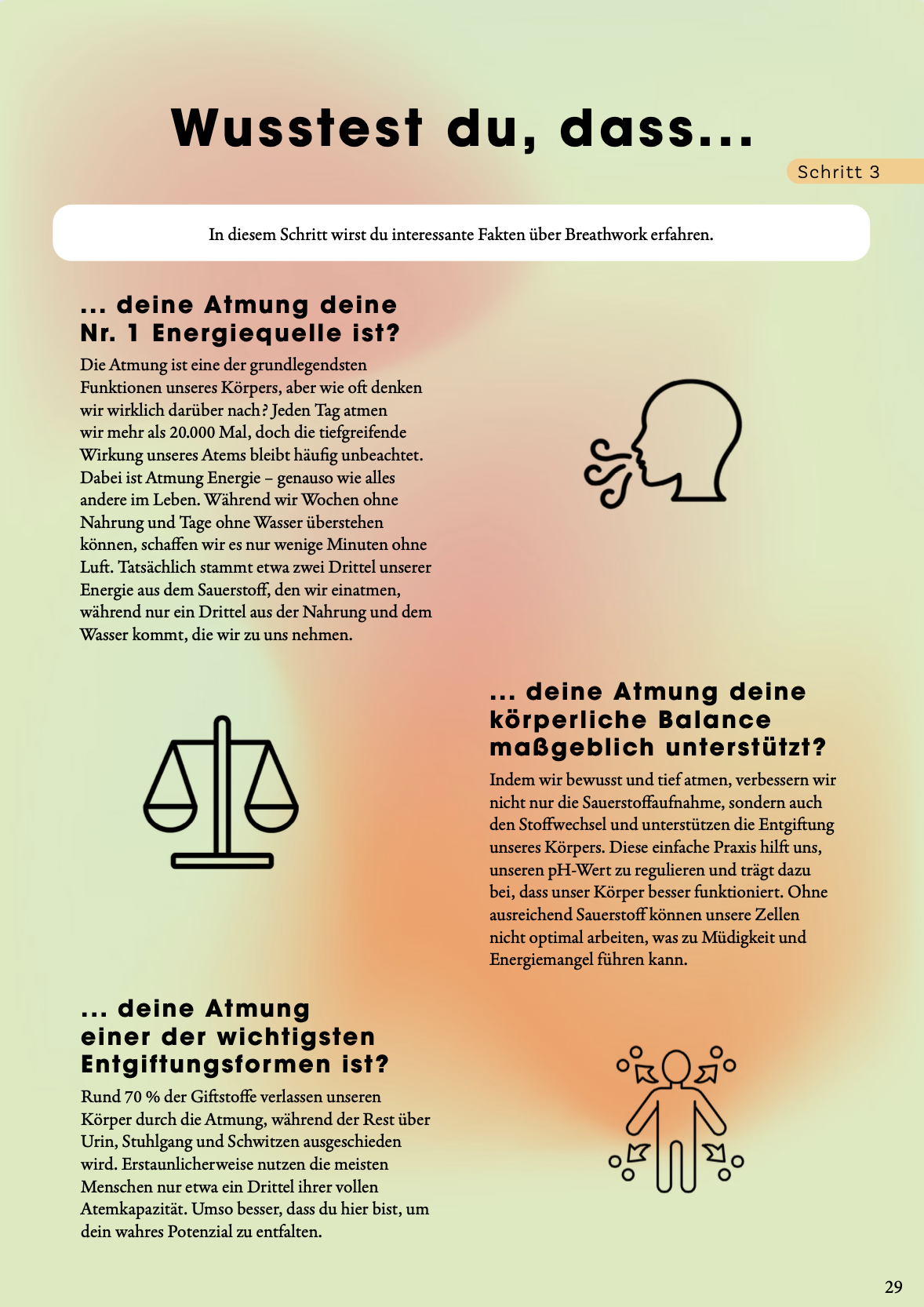 Auszug aus dem Breathwork-Workbook